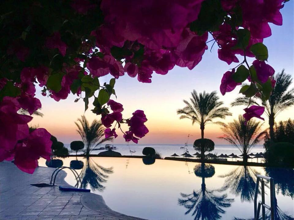 Hotel TUI MAGIC LIFE Kalawy Hurghada Zewnętrze zdjęcie